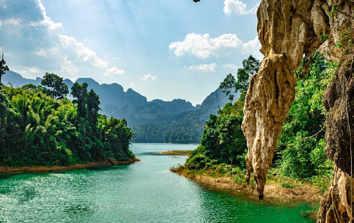 Article Image for The Importance of Protecting Biodiversity Hotspots in Southeast Asia