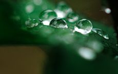 Article Image for The Promise of Green Hydrogen