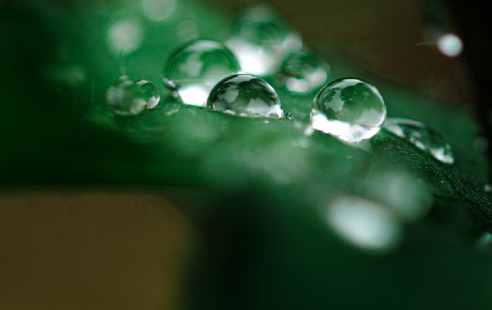 Article Image for The Promise of Green Hydrogen