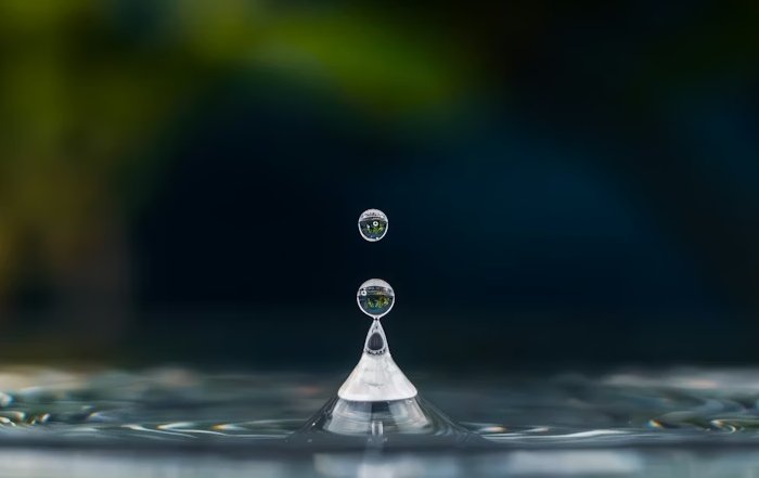 Article Image for The Ripple Effect of Individual Choices