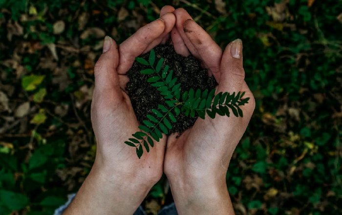 Article Image for The Role of Faith-Based Organizations in Environmental Stewardship