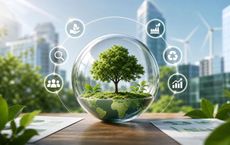 Article Image for Why Transparency Matters in Sustainable Business